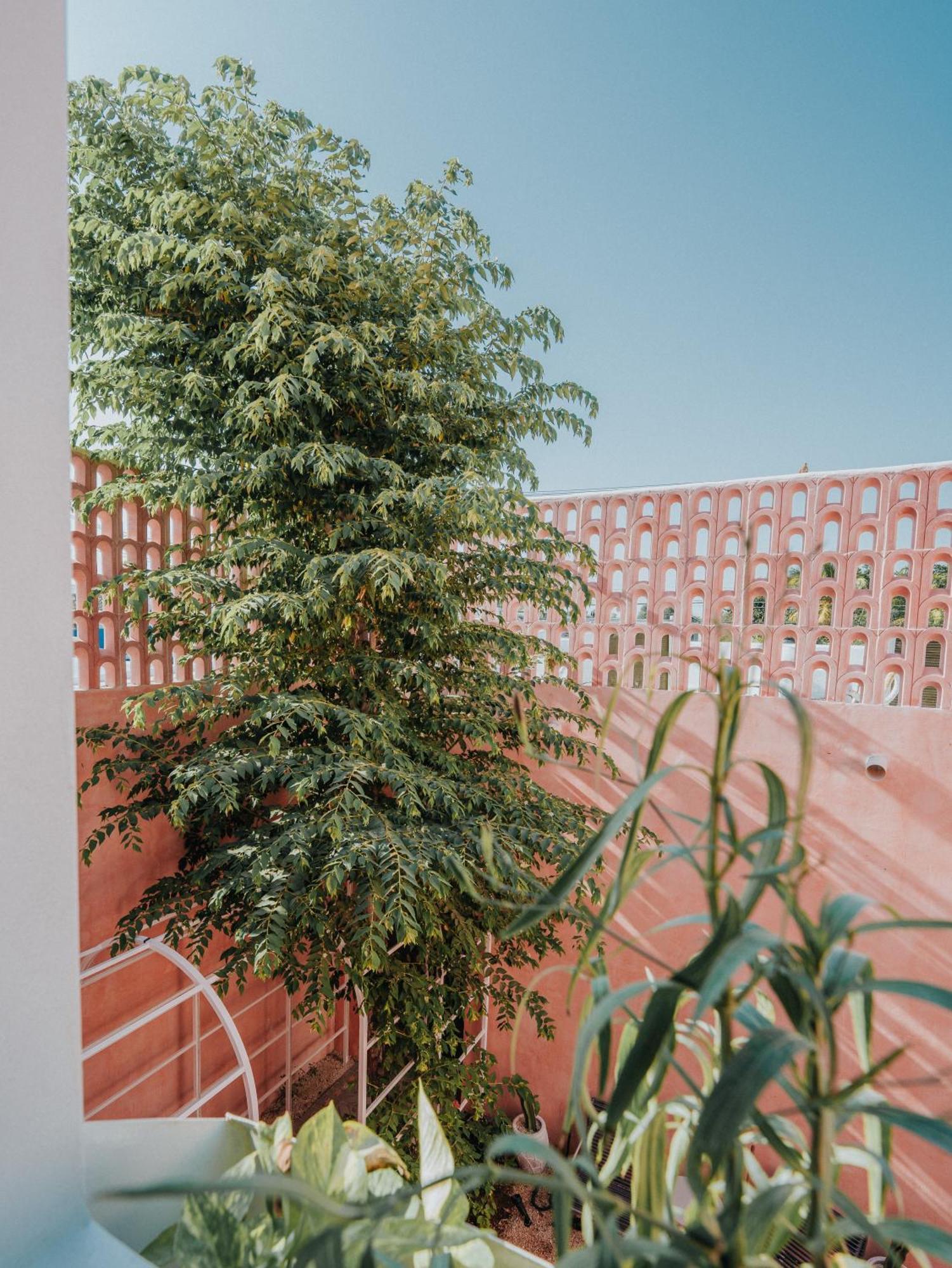Casa Amate 61 Boutique Hostel Мерида Екстериор снимка